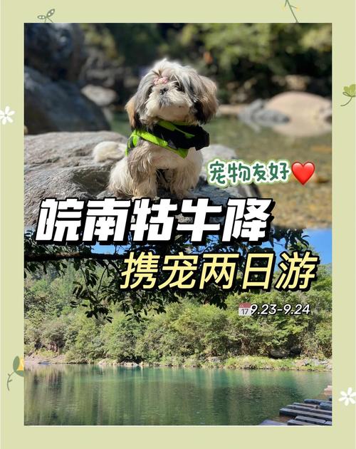 皖南牯牛降携宠两日游,带你畅游山水秘境!