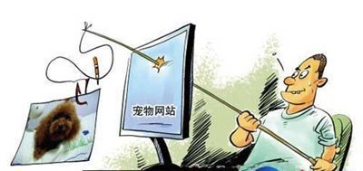 消费者网络购置宠物应当心落入"病坑"!