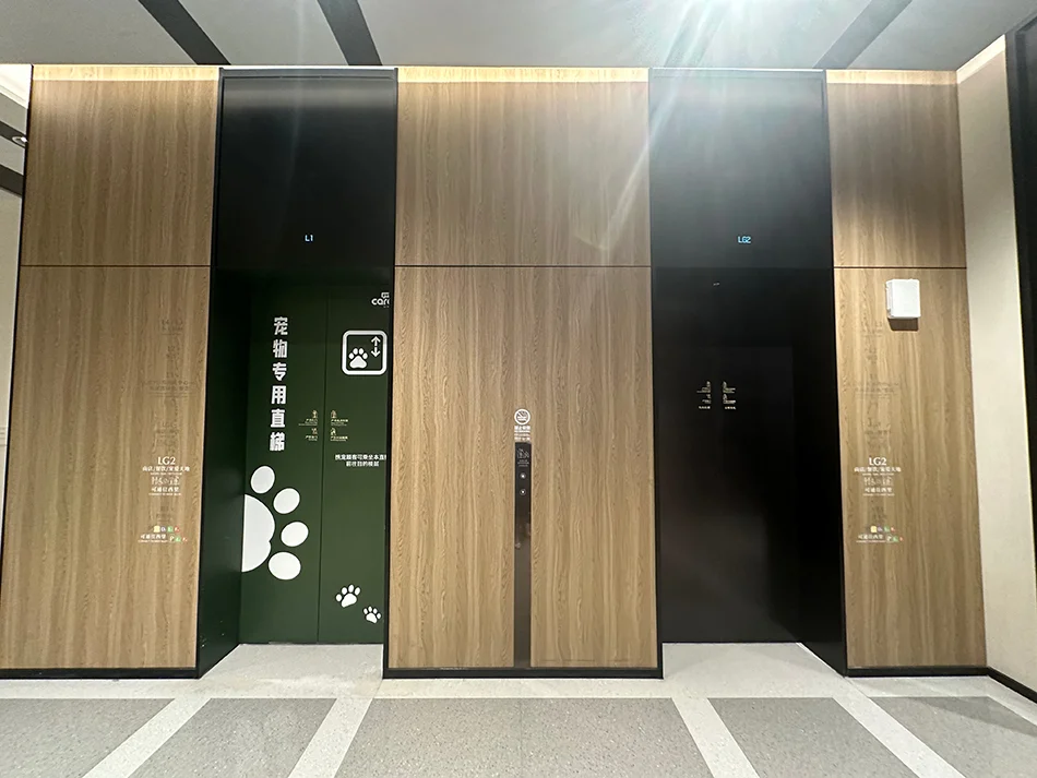 网络热议:上海某商场设"宠物专用直梯",方便携宠顾客,减少宠物与其他